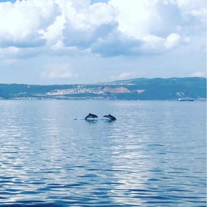 Blue Pier Hotel Kocaeli Luaran gambar